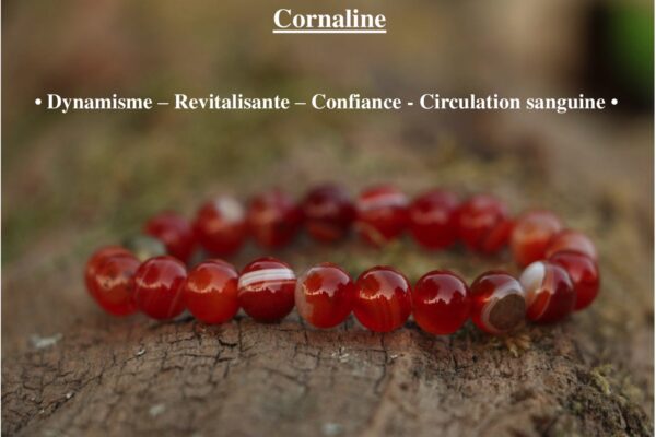 Bracelet en Cornaline