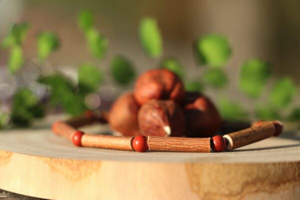 Bracelet en Noisetier et Jaspe rouge