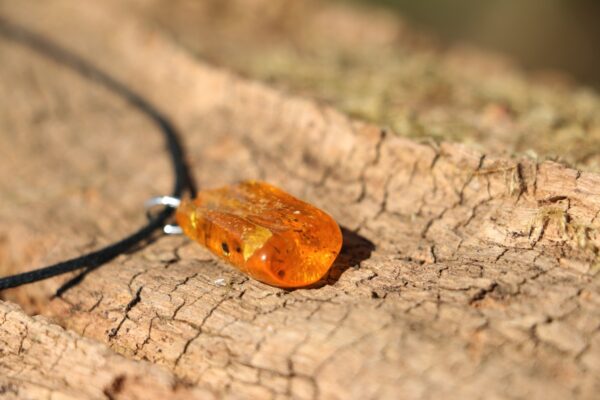 Pendentif en Ambre – Image 2