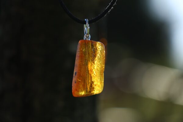 Pendentif en Ambre – Image 8