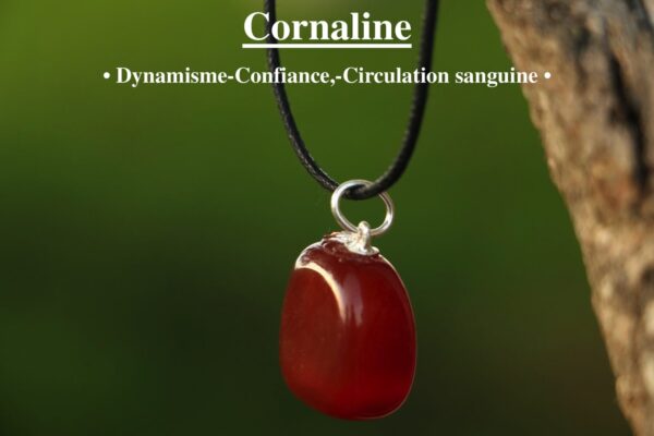 Pendentif en Cornaline
