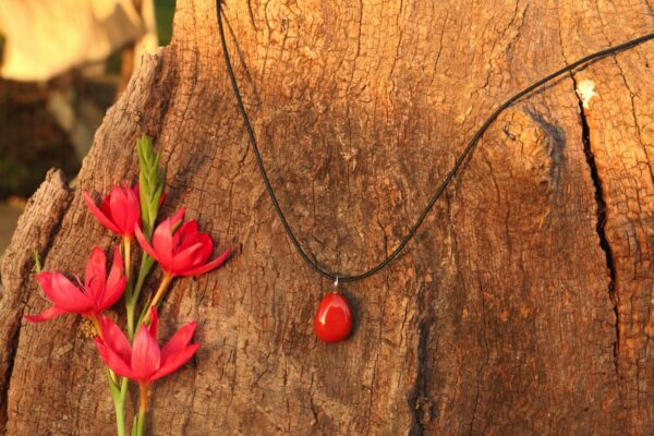 Pendentif en Jaspe rouge – Image 6