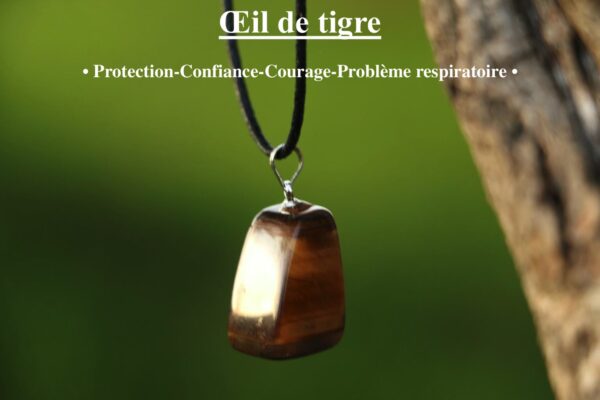 Pendentif en Oeil de tigre