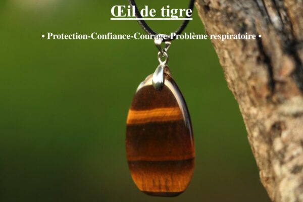 Pendentif en Oeil de tigre plat