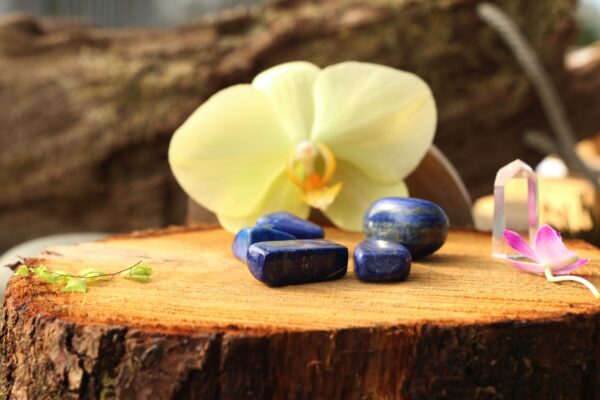 Pierre roulée en Lapis Lazuli