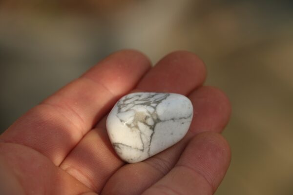 Pierre roulée en Howlite – Image 4