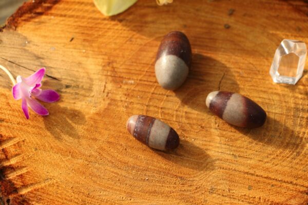 Pierre roulée, Shiva Lingam