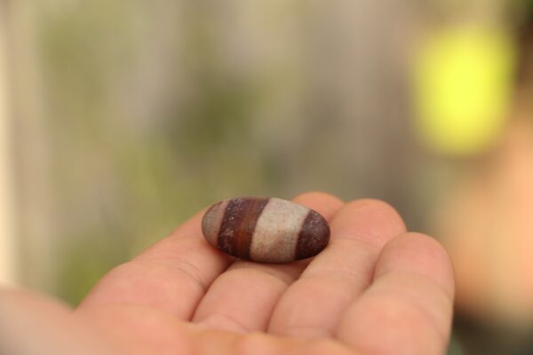 Pierre roulée, Shiva Lingam – Image 4